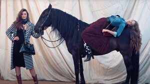 Screenshot 2025-02-16 150452.jpg