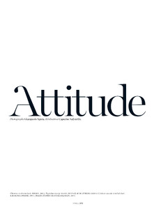 attitude_01.thumb.jpg.8640f1143f3586fdab0b8c4fd428134a.jpg