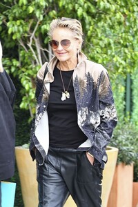 sharon-stone-enjoys-casual-walk-in-beverly-hills-12.11.2024-4.jpg