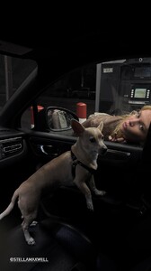 [2025.03.01] stellamaxwell-rasbartram_3578418477904937681.jpg