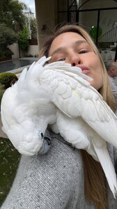 [2025.03.22] barrefaeli_3593908109013280291.jpg