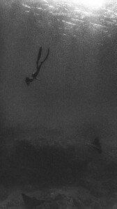 [2025.03.24] carmellarose_3595573222067201338.jpg