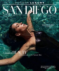 Modern Luxuey San Diego 325.jpg