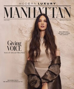 Modern Luxury Manhattan 425.jpg