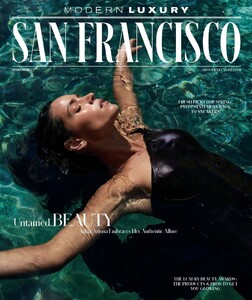 Modern Luxury San Francisco 325.jpg