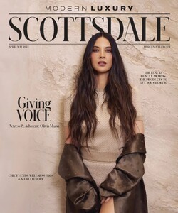 Modern Luxury Scottsdale 425.jpg