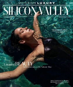 Modern Luxury Silicon Valley 325.jpg