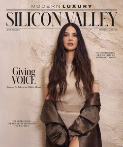 Modern Luxury Silicon Valley 425.jpg