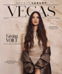 Modern Luxury Vegas 425.jpg