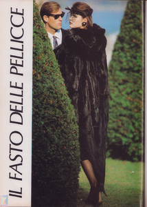 KAllen-cosm-IT-dec85 (1).png