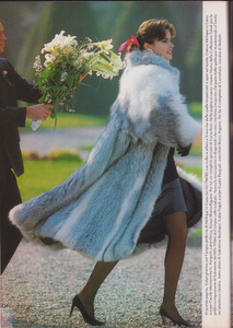 KAllen-cosm-IT-dec85 (3).png