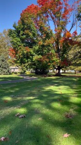 Kate Bock - TikTok 60.jpg