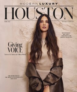 Mosern Luxury Houston 425.jpg