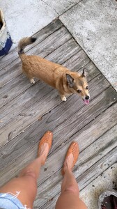 [2025.05.16] msgigiparis_3633943099400410990.jpg