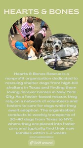 [2025.05.20] tateandtaylor_3636733948370471043.jpg