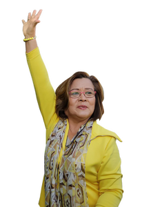 Leila_de_Lima_HD.png