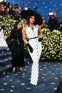 Met_Gala_2025_-_PCM_28629.jpg