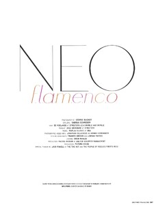 neo_flamenco_02.jpg