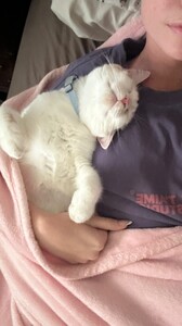 [2025.05.31] alexisbumgarner_3644664079416992514.jpg