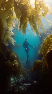 [2025.06.11] carmellarose_504671373_18516343222035727_5039157803475829874_n..jpg