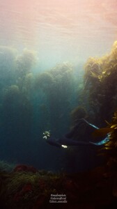 [2025.06.11] carmellarose_505404255_18516343417035727_7893929727335854974_n..jpg