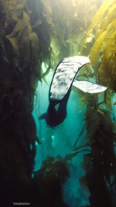 [2025.06.11] carmellarose_505427811_18516343246035727_429567096337157590_n..jpg