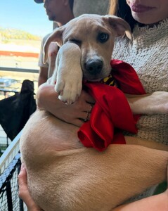 [2025.06.30] sarasampaio_513921501_18519083863058288_7775161335846304922_n.jpg