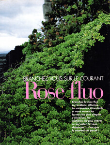 ElleFr020594no2522Rose01.jpg