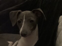 Be excellent to each other!'s avatar