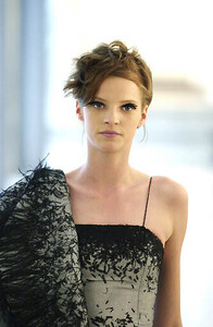 livak f00carloPontiHC-09.jpg