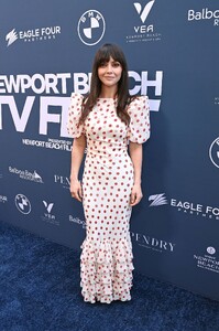 yellowjacket-2 (2).jpg