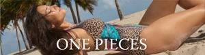 E_slice-onepieces.webp