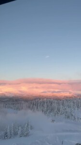 Ida Zeile - TikTok 31.jpg