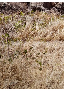 Vogue France 08-2025_11.jpg