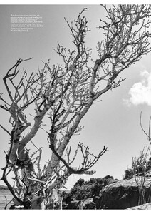 Vogue France 08-2025_3.jpg