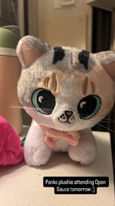 fatfatpankocat's2025-7-19-18.24.824 story.jpg