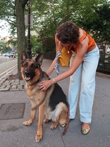 [2025.08.27] stonefruit_536805144_17886548424345804_327215251027278445_n.jpg