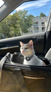 Alexis Bumgarner - Instagram [2025.08.26] Cat.jpg