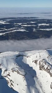 Ida Zeile - TikTok 45.jpg