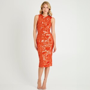 JessicaT - Helsi - 2025.02.10_Helsi_RenPidgeon_8400copy.jpg