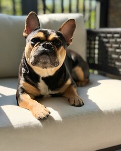 Jillian Mele - Facebook [2025.04.24] Levi 2.jpg