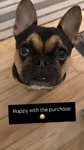 Jillian Mele - Instagram [2024.12.15] Levi.jpg