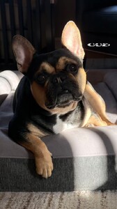 Jillian Mele - Instagram [2025.01.05] Levi.jpg