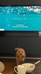 Kika Gomes - Instagram [2025.08.27] Dog 1.jpg