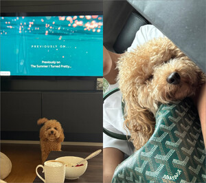 Kika Gomes - Instagram [2025.08.27] Dog m.jpg