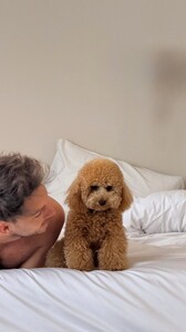 Kika Gomes - Instagram [2025.08.29] Dog.jpg