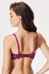 PetraB - Astratex - Podprsenka Classic Lace Beaujolais vyztuzena 14660New_02.jpg