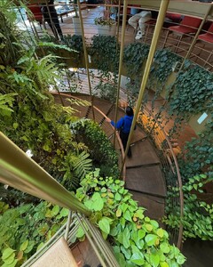 Quick stop in São Paulo for work (2).jpg