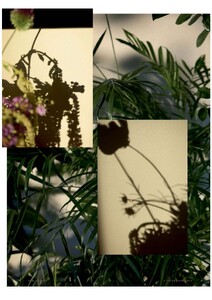 Vanity Fair Italia - 3-09-2025_6.jpg