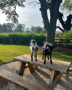 alix_earle posts 2023-06-22 05.19 CtxX3IavvvD_7_10 355198033_870873397787254_2818670007560281296_n.jpg